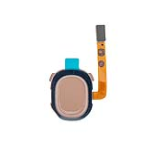 انواع فلت (FLEX)-Samsung-فلت اثر انگشت-A20 (A205) / M20-