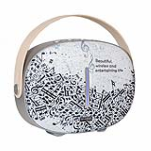 Portable Wireless Speaker W-King T8 Patterned